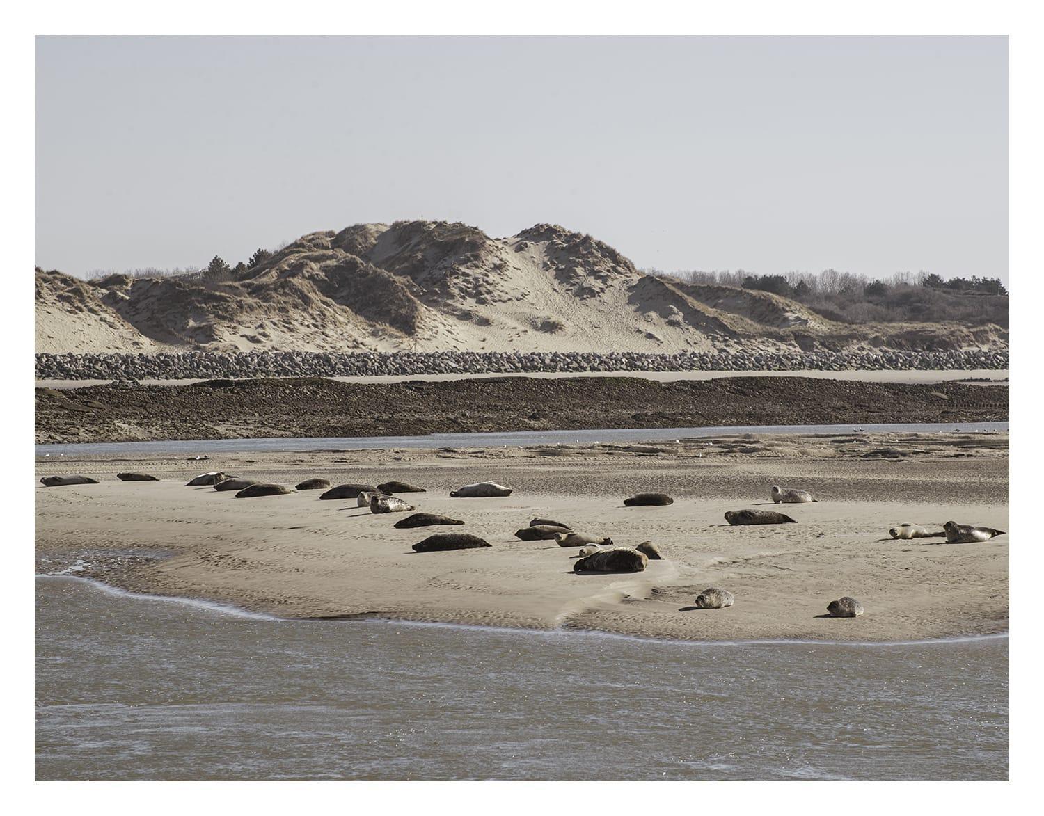 Cottage Proche Du Bord De Mer Et Au Coeur Des Dunes Мерлімон-Плаж Екстер'єр фото